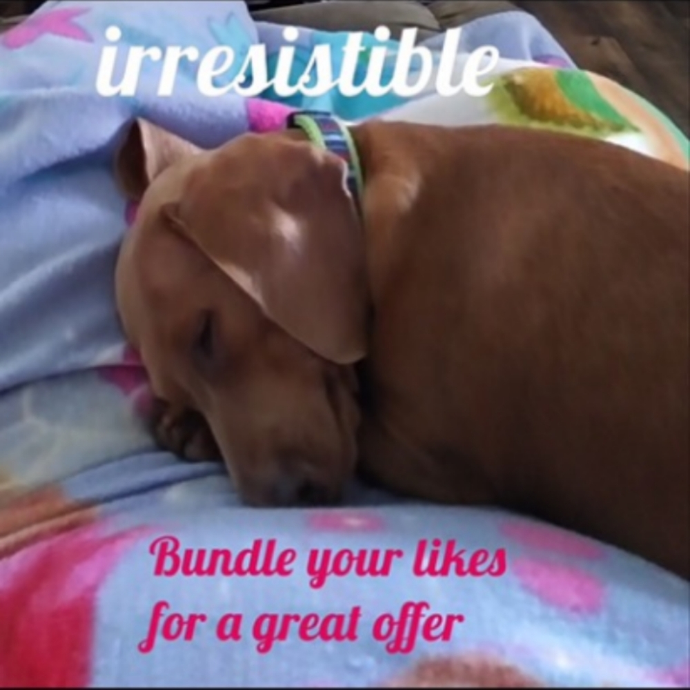Bundle - Picture 1 of 1